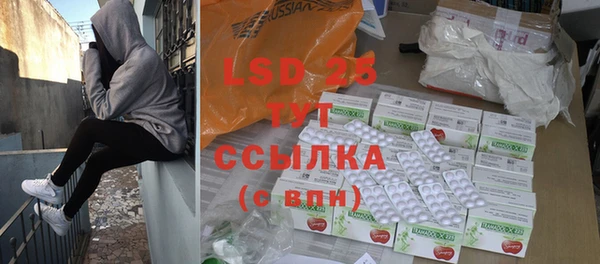 стаф Баксан